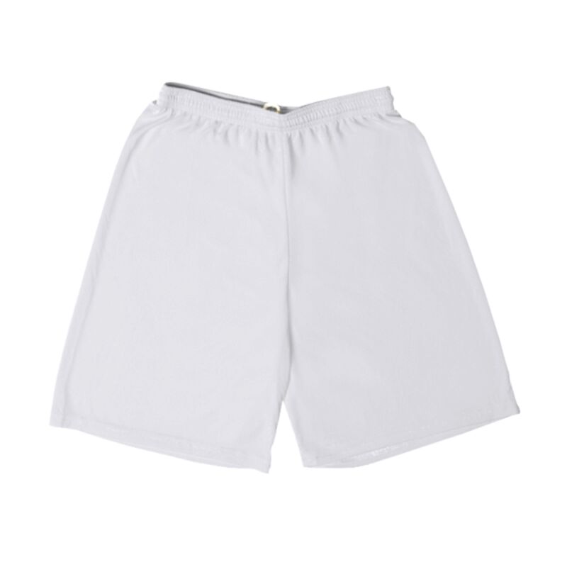 AJ1089 Men's Training Shorts Thumbnail